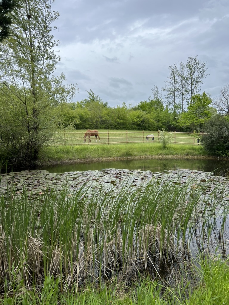 Très belle maison de maître en pleine nature à proximité d'un village