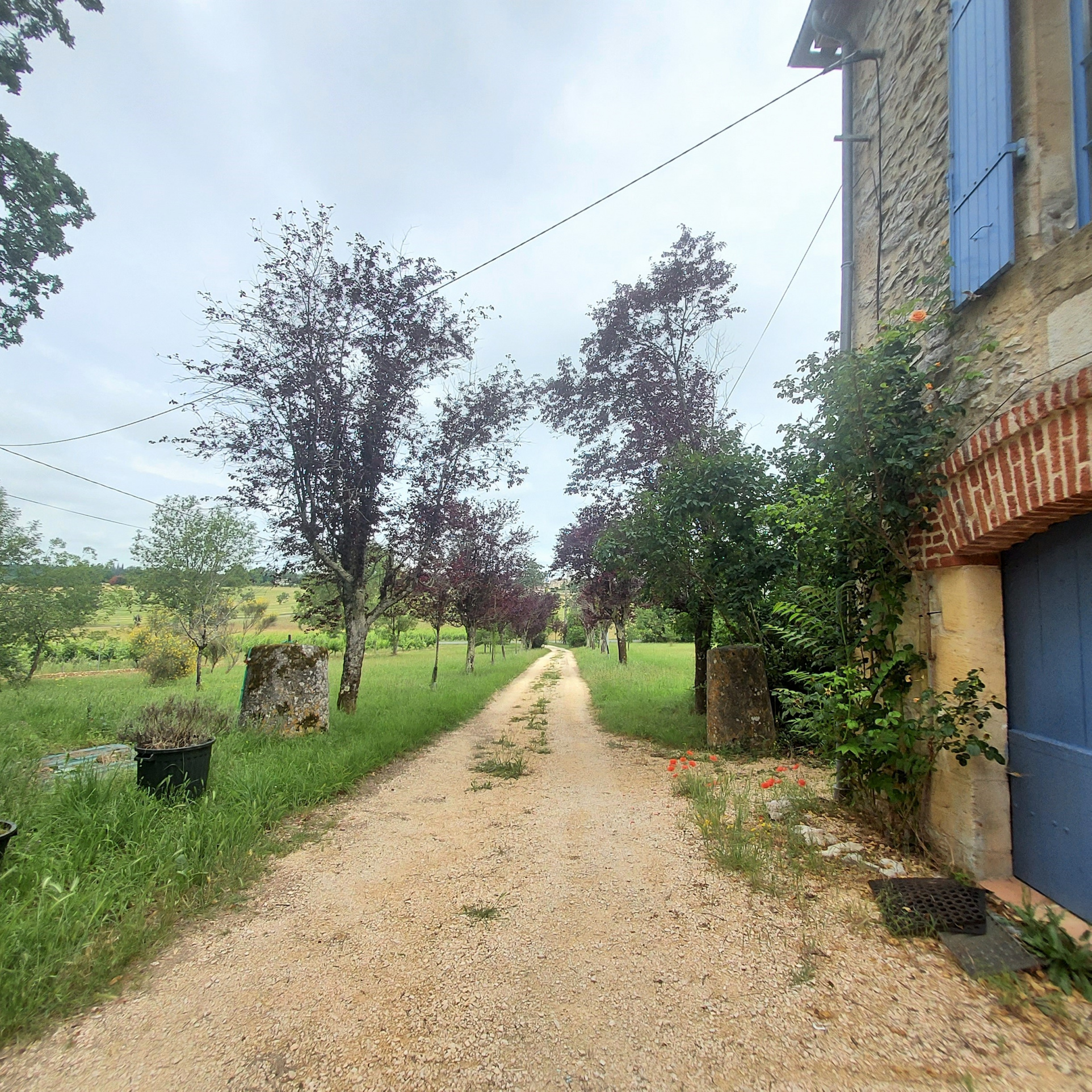 Belle maison de campagne à proximité d'un petit village dynamique du Lot et Garonne