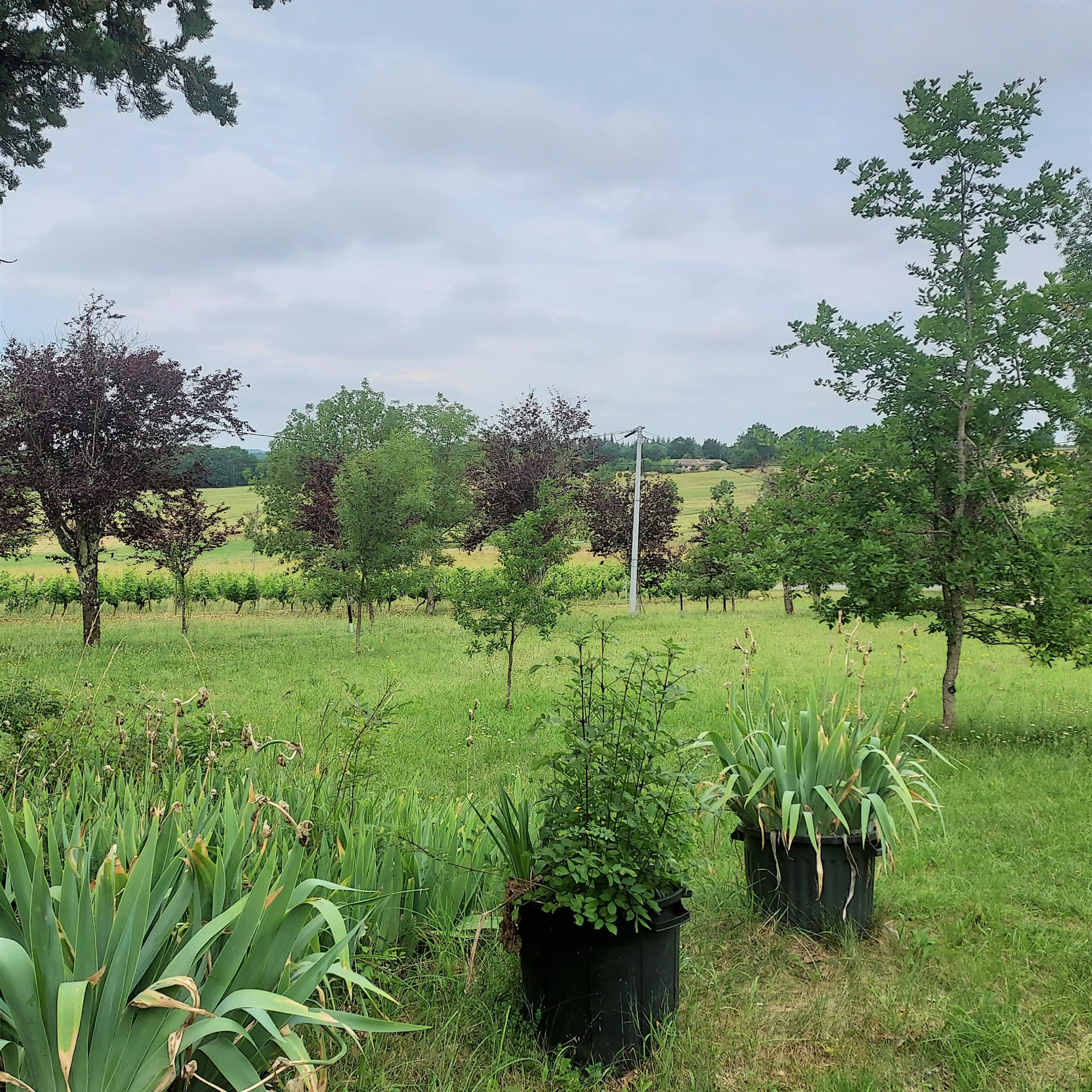 Belle maison de campagne à proximité d'un petit village dynamique du Lot et Garonne