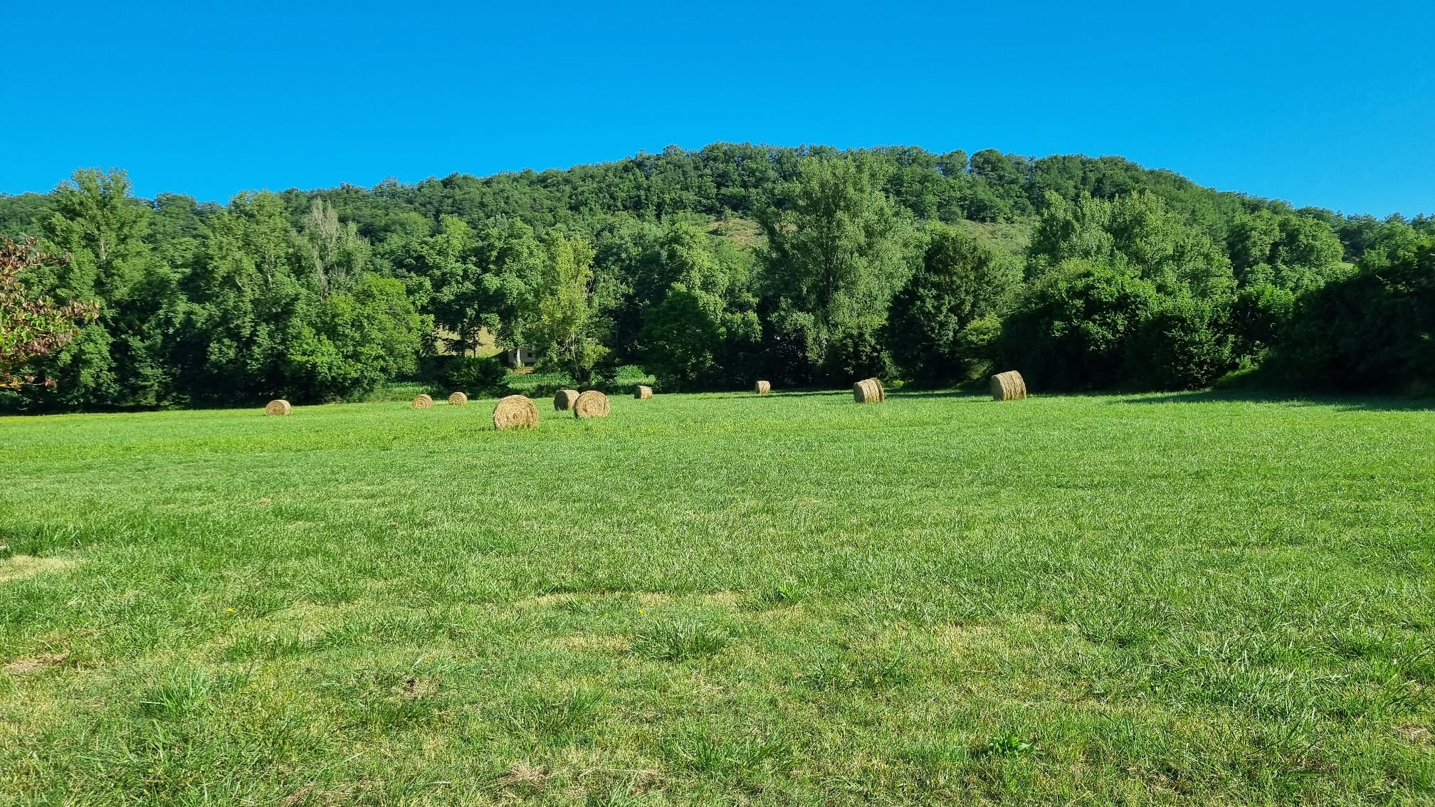 Charmante maison Quercynoise en pleine nature à proximité du village dans le Tarn et Garonne.
