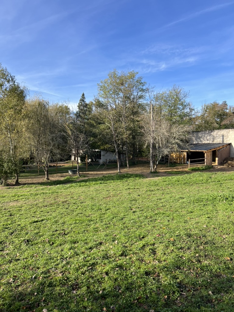 Très belle maison de maître en pleine nature à proximité d'un village