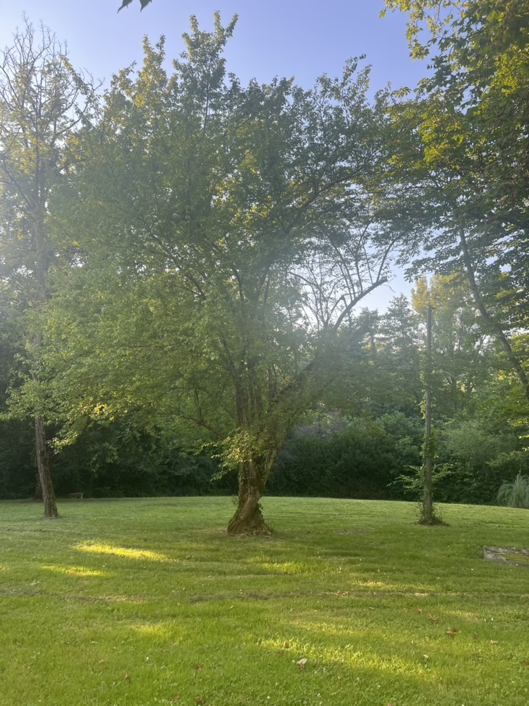 Très belle maison de maître en pleine nature à proximité d'un village