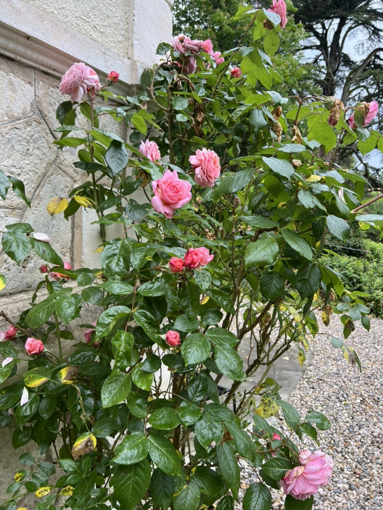 Très belle maison de maître en pleine nature à proximité d'un village