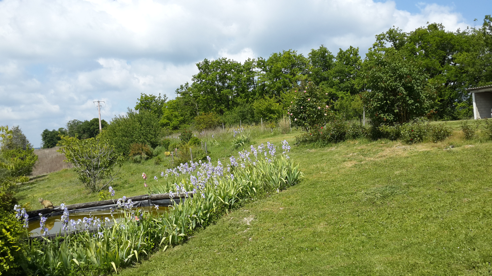 Belle propriété Quercynoise dans le Tarn et Garonne avec vue dégagée