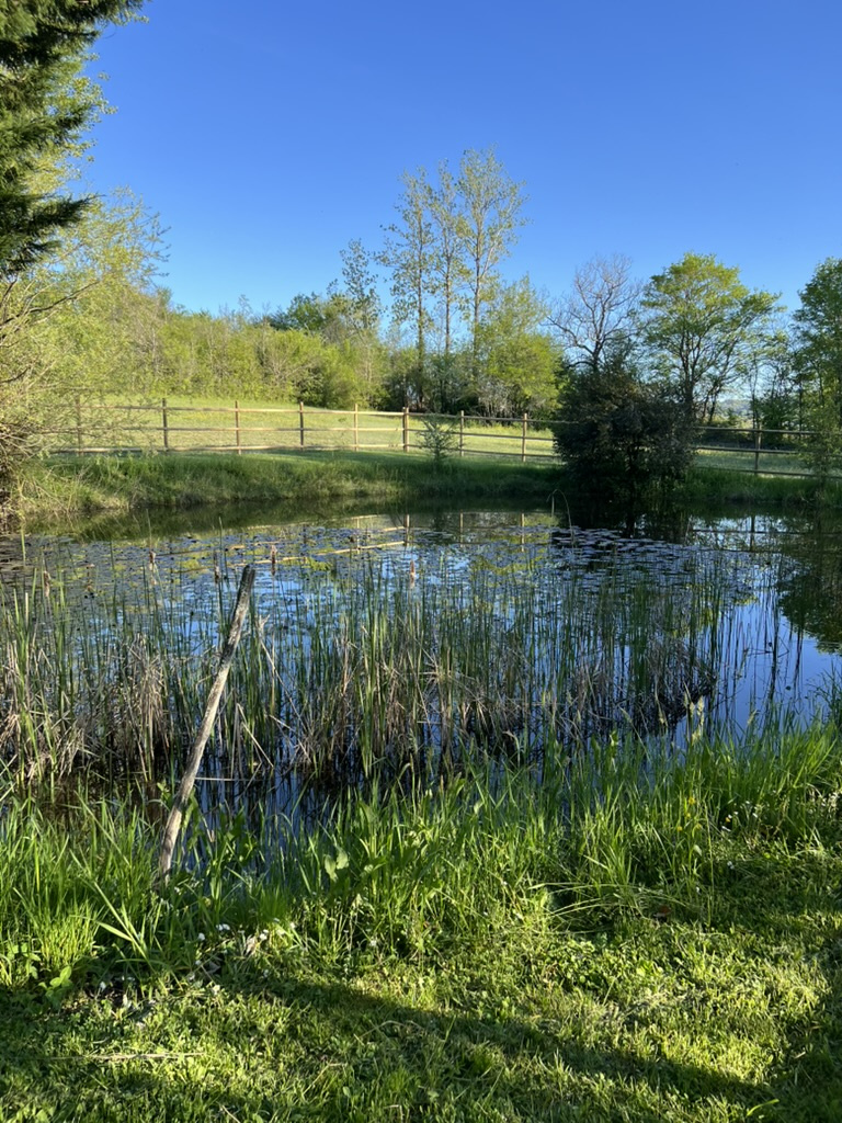Très belle maison de maître en pleine nature à proximité d'un village