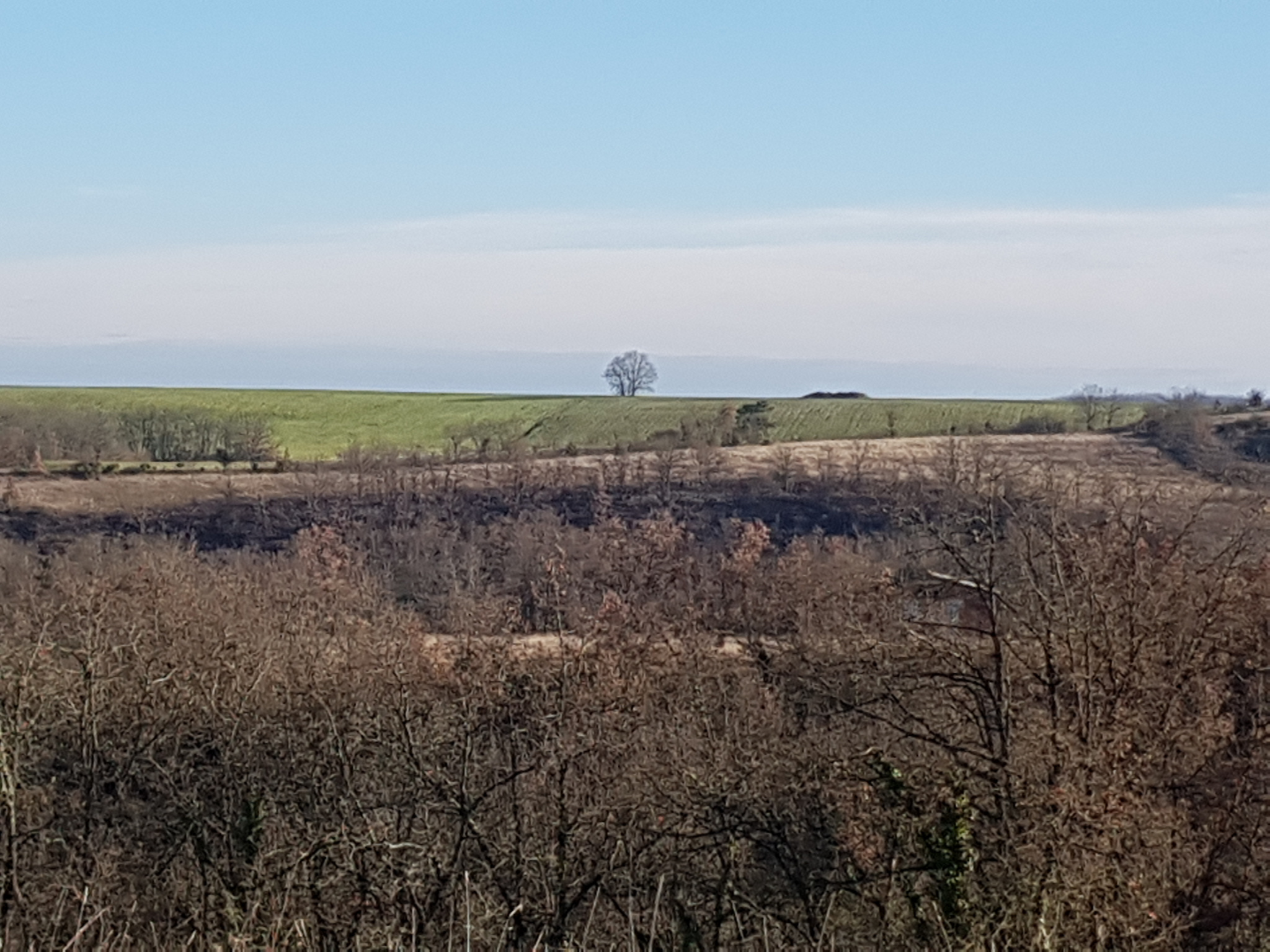 Belle propriété Quercynoise dans le Tarn et Garonne avec vue dégagée