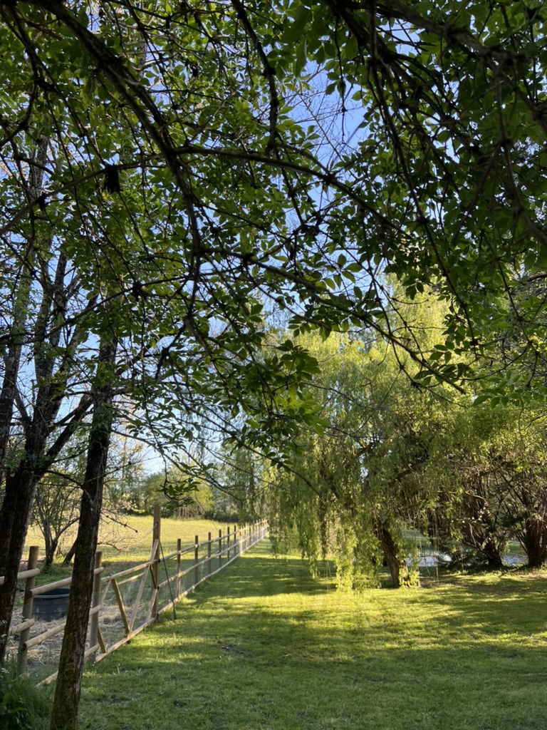 Très belle maison de maître en pleine nature à proximité d'un village