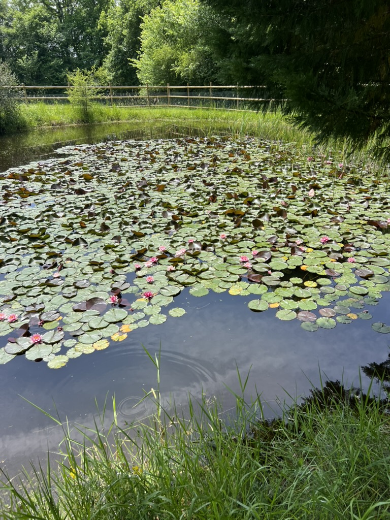 Très belle maison de maître en pleine nature à proximité d'un village