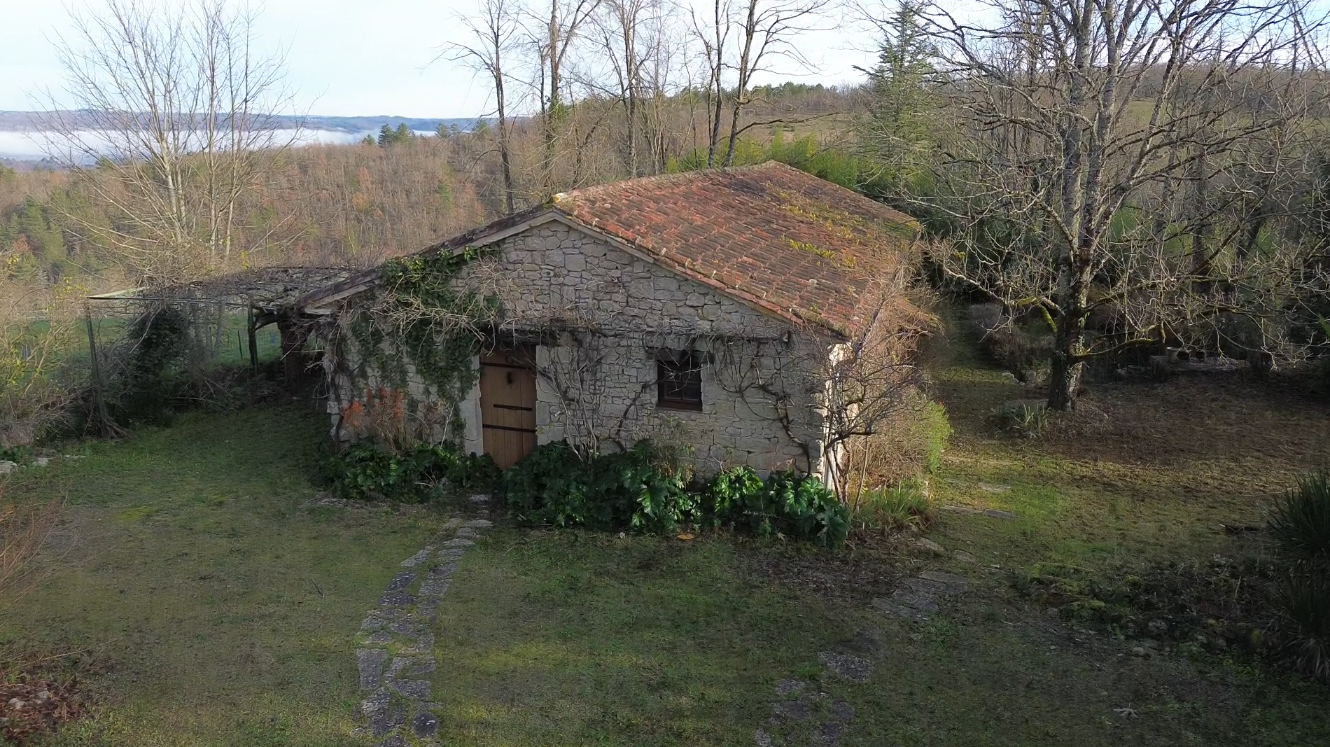 Demeure historique à restaurer et son parc magnifique.
