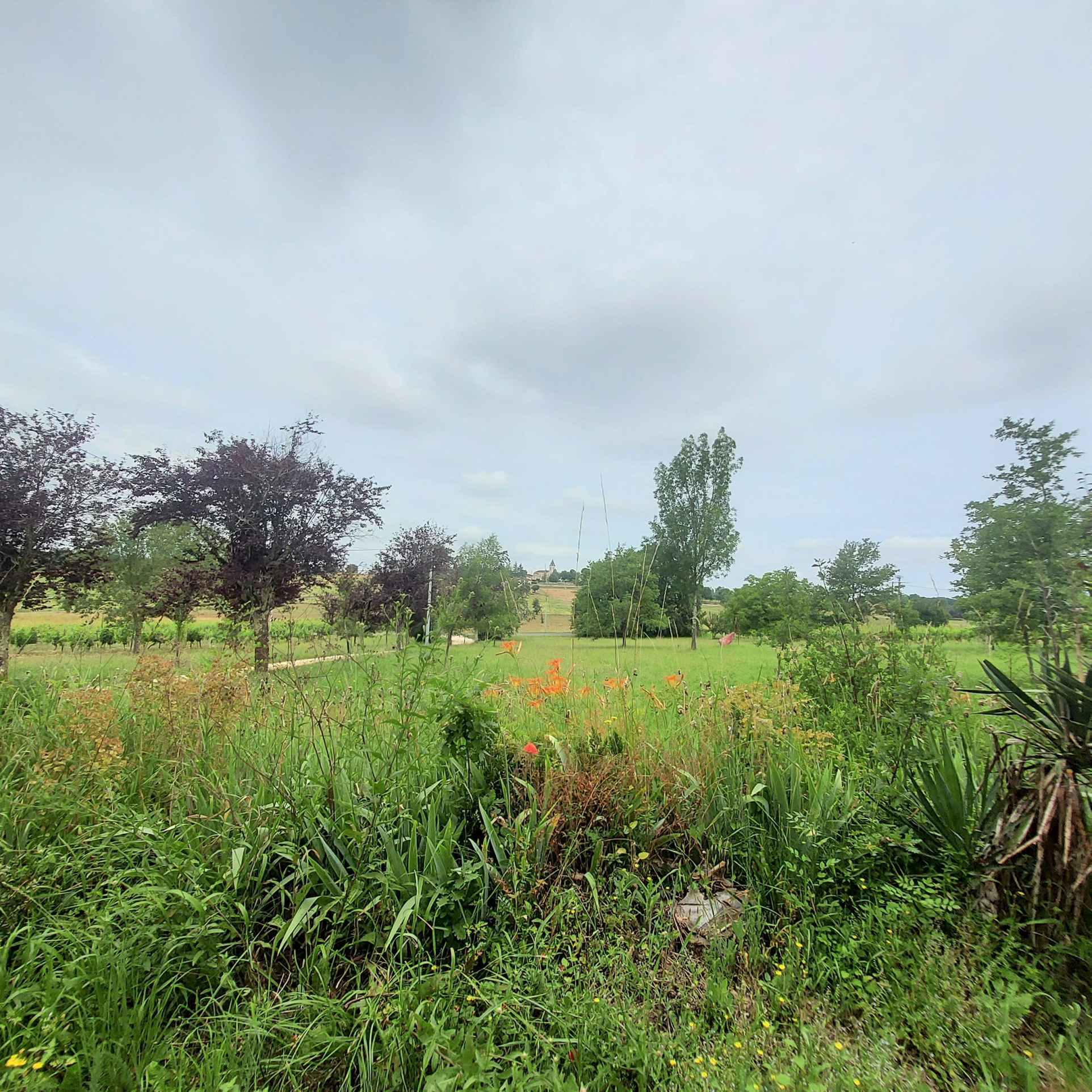 Belle maison de campagne à proximité d'un petit village dynamique du Lot et Garonne