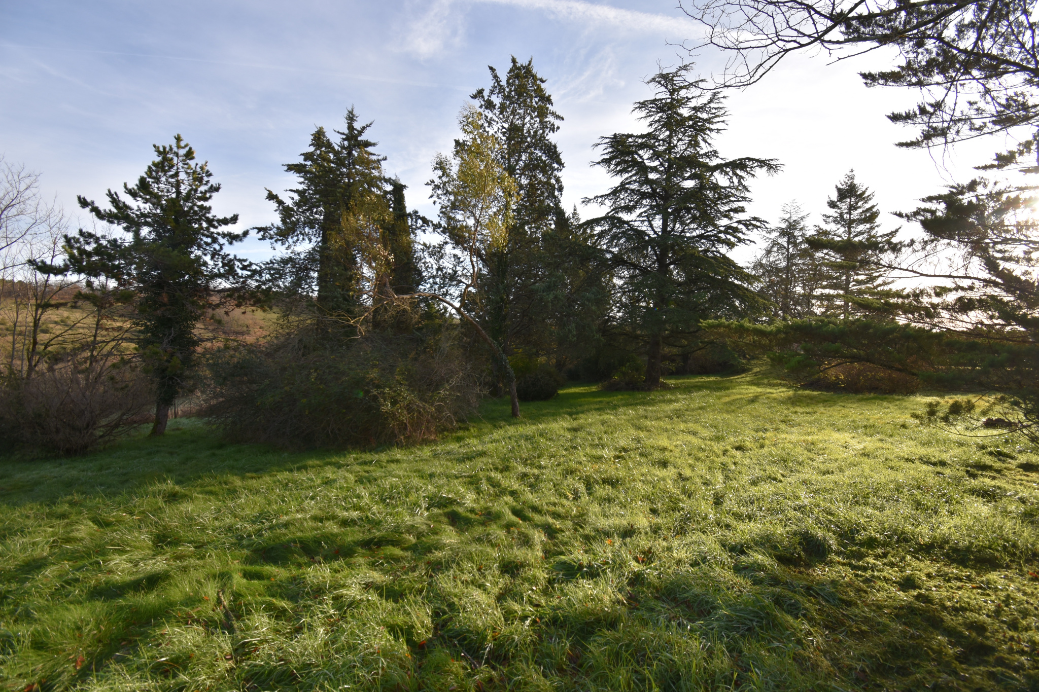 Demeure historique à restaurer et son parc magnifique.