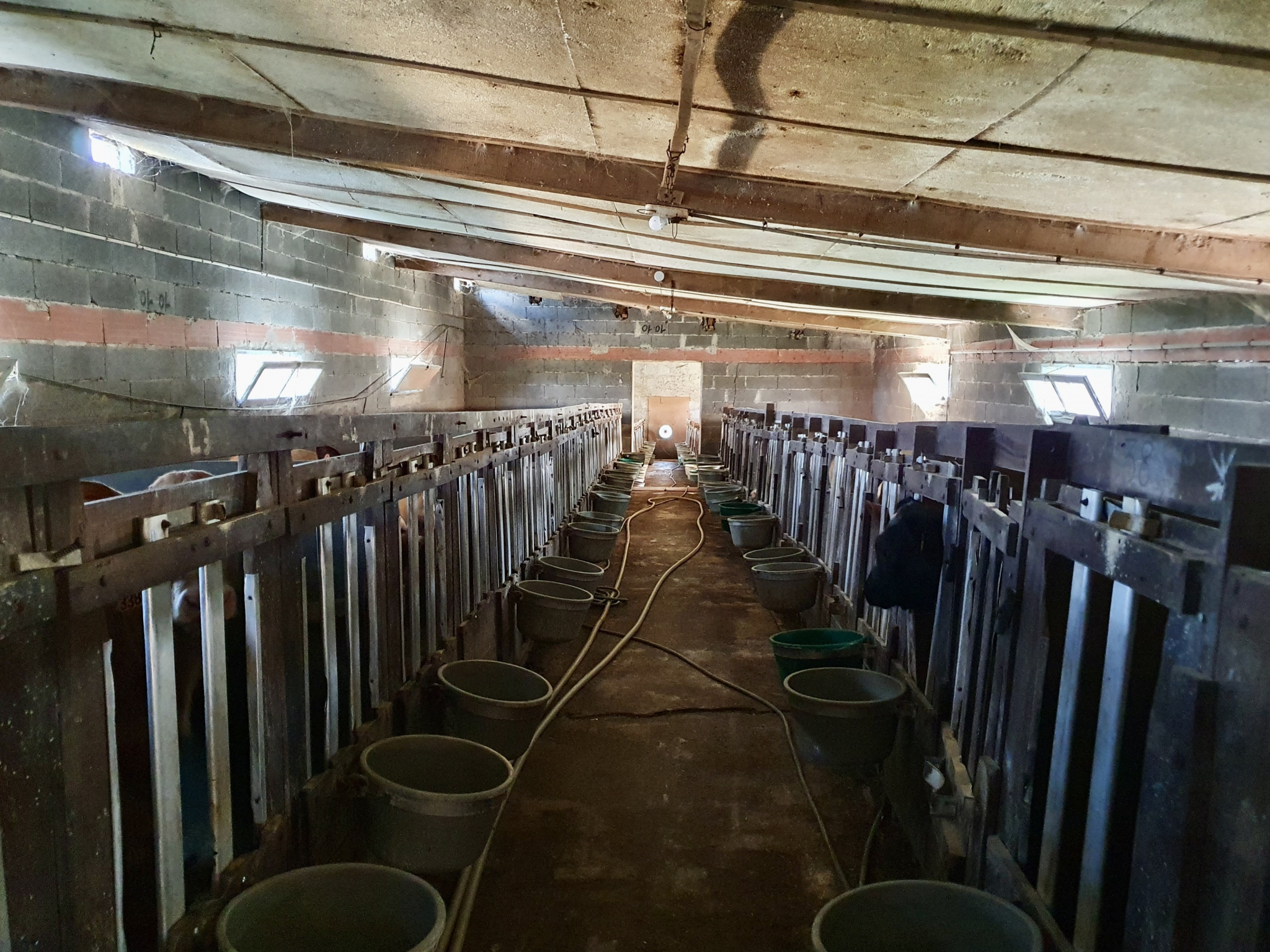 Ferme campagne toulousaine