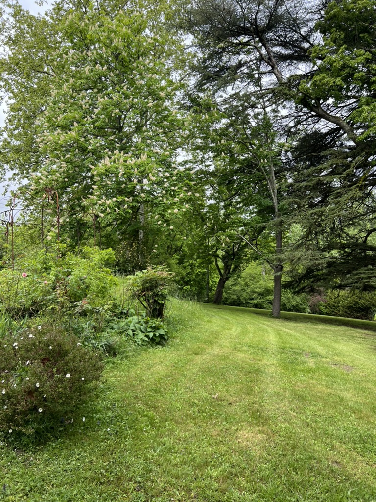 Très belle maison de maître en pleine nature à proximité d'un village