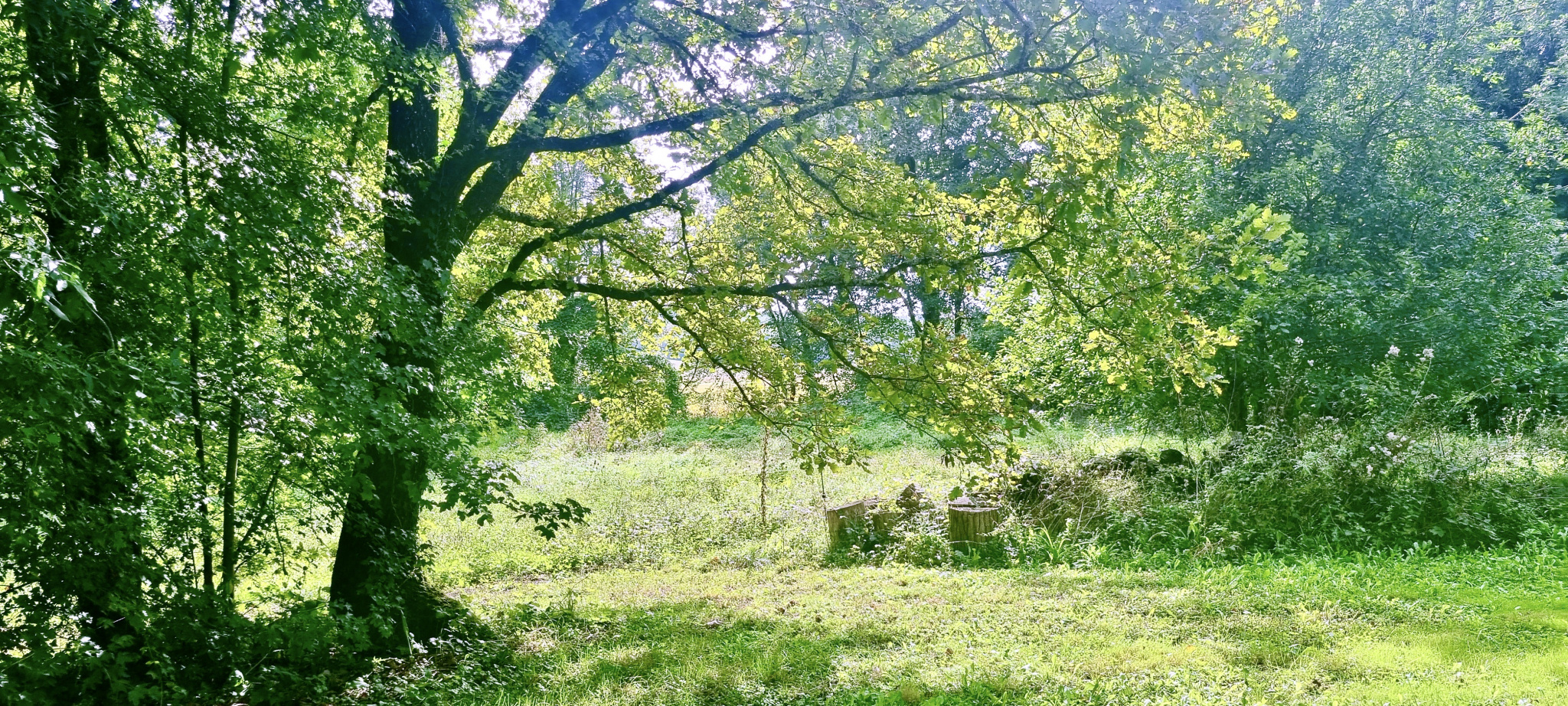 Ancien moulin du XIII ème