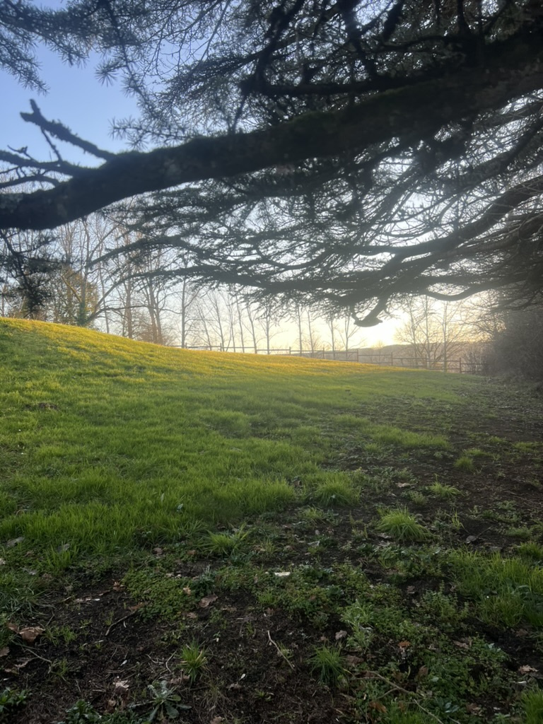 Très belle maison de maître en pleine nature à proximité d'un village